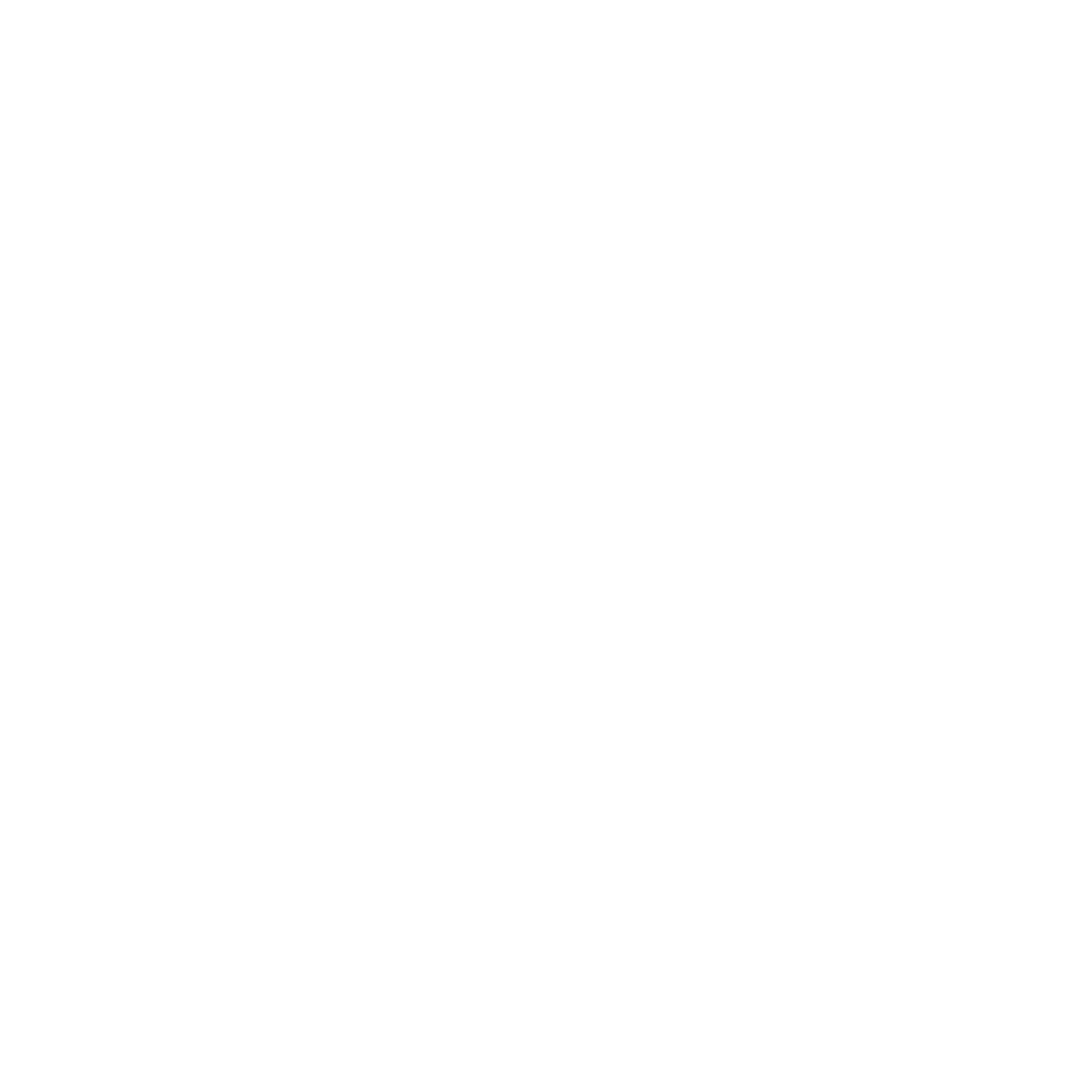 Outstanding Achievement Award — Berlin Flash Film Festival